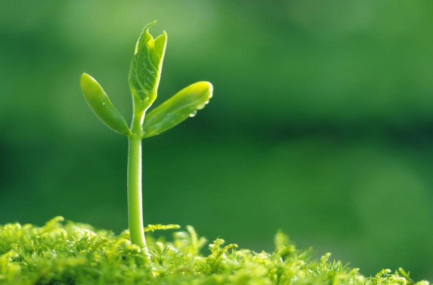 Tử vi 12 con giáp ngày 31/3/2022: Tuổi Ngọ có thể sẽ vướng kiện tụng