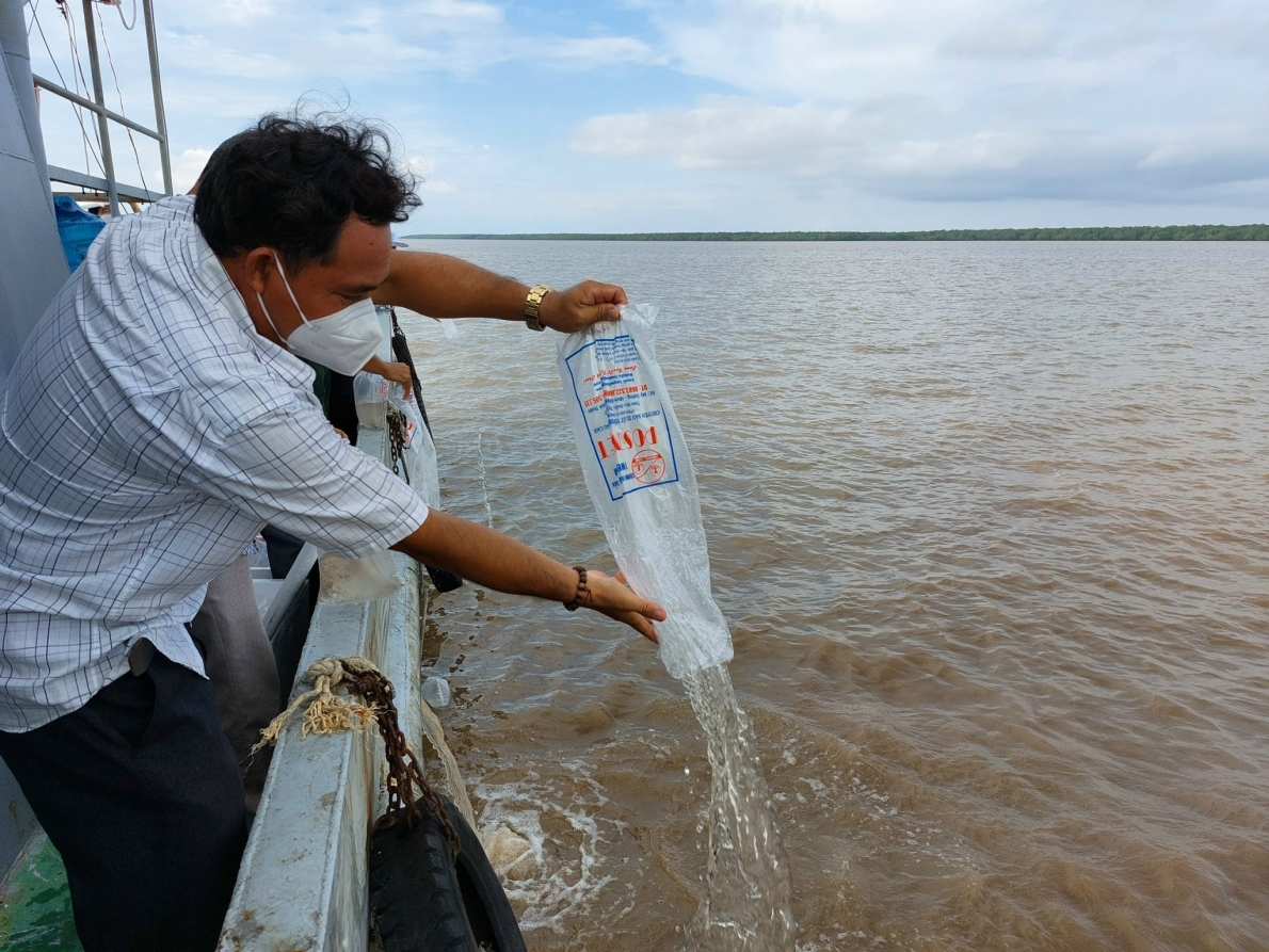 Thả 4,3 triệu con giống cua, tôm ra biển