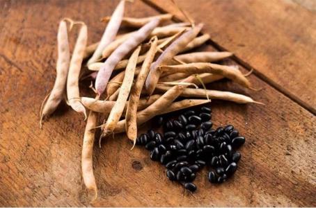 Vị thuốc quý từ đậu đen