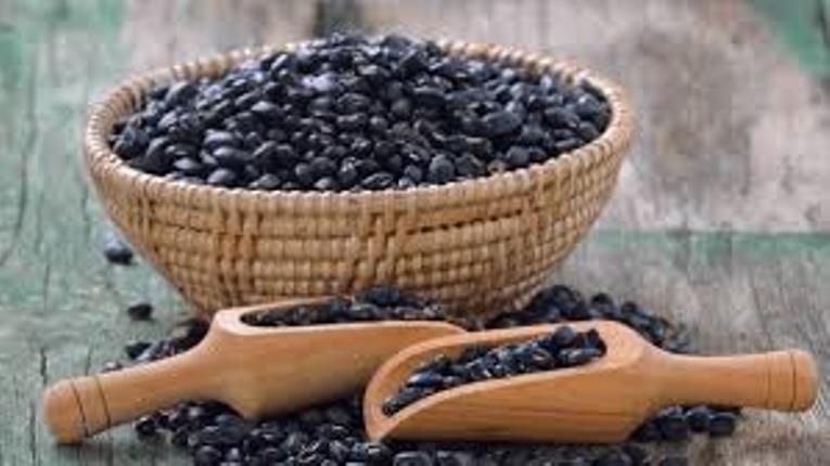 Vị thuốc quý từ đậu đen