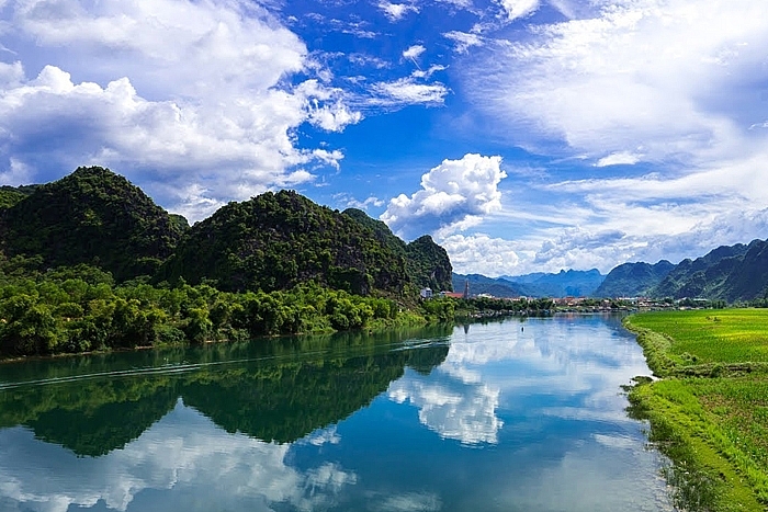 Tử vi hôm nay, tử vi 12 con giáp ngày 4/5/2022. Ảnh: tago