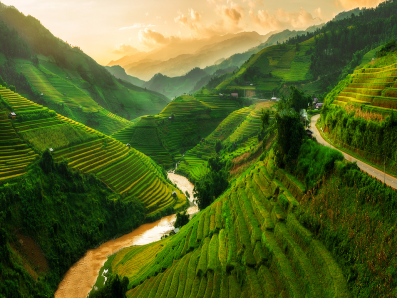 Tử vi hàng tuần 12 con giáp