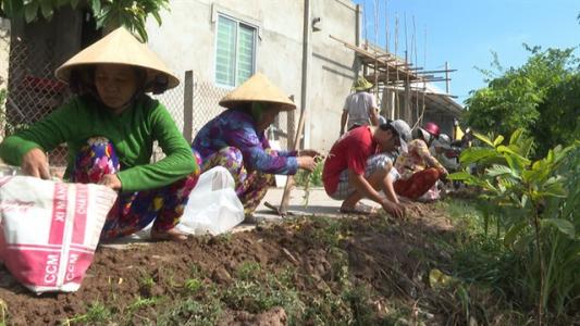 Bến Tre: Hiệu quả sau 3 năm thực hiện 'Ngày Chủ nhật nông thôn mới'