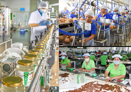 Bến Tre: Kinh tế phục hồi với nhiều tín hiệu khởi sắc