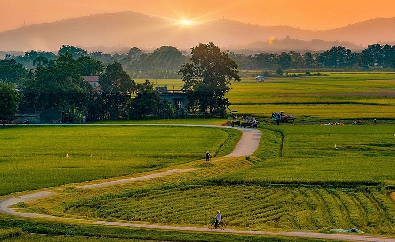 Tử vi 12 con giáp ngày 1/6/2022