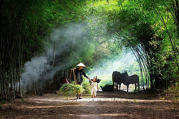 Tử vi 12 con giáp ngày 1/6/2022