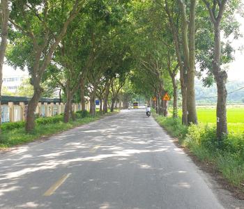 Dự báo thời tiết ngày 1/6: Đầu tháng mưa dông có xu hướng giảm dần
