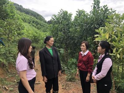 NHCSXH Cao Bằng: Đẩy nhanh cho vay phục hồi kinh tế - xã hội theo Nghị quyết số 11