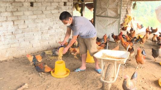 Vốn tín dụng ủy thác-'đòn bẩy' thúc đẩy sản xuất