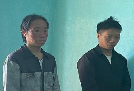 Hà Giang: 3 anh em ruột bị khởi tố vì chặt hạ 2 cây gỗ nghiến cổ thụ