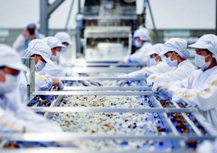 6 tháng: Kim ngạch xuất khẩu nông, lâm, thủy sản tăng gần 14%