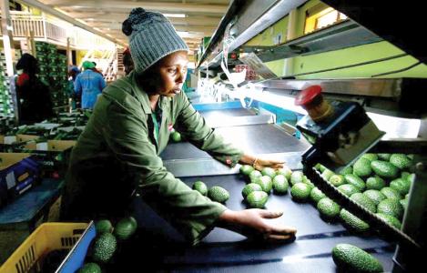 Tiêu chuẩn khắt khe của Trung Quốc