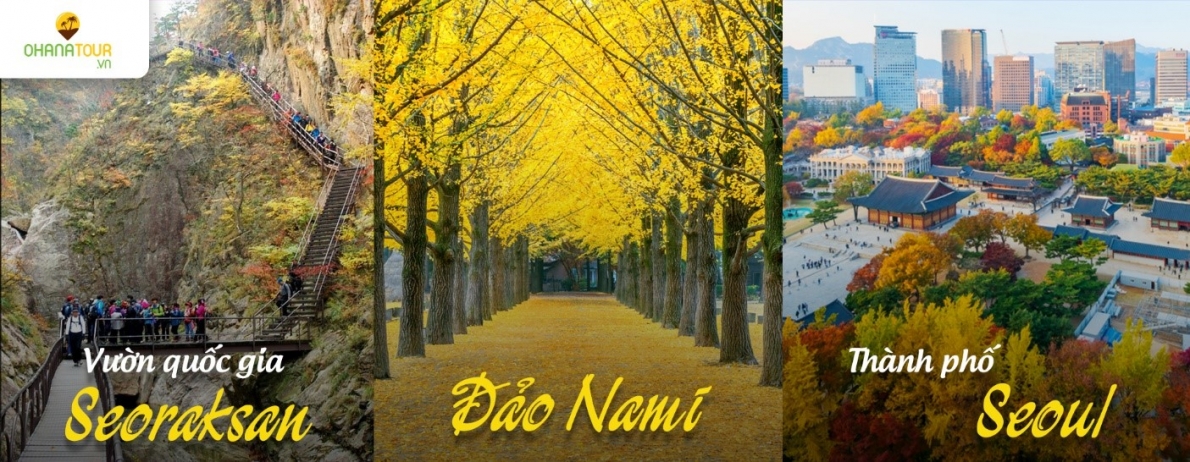 Chùm tour du lịch