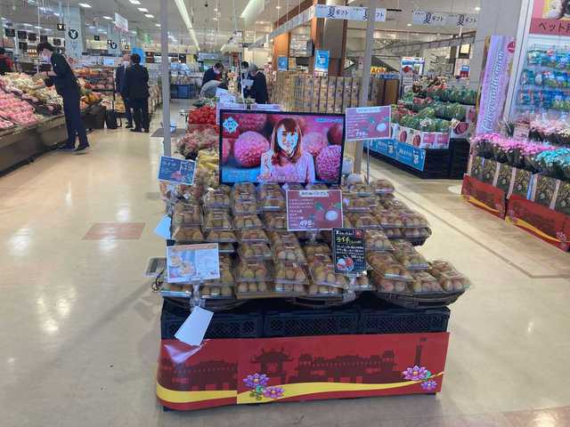 Điểm nhấn của Tuần hàng Việt Nam 2022 tại Nhật Bản - Ảnh 2.