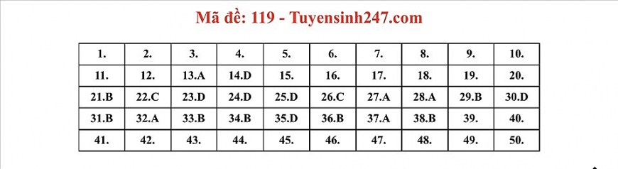 Gợi ý đáp án đề thi môn Toán Tốt nghiệp THPT 2022