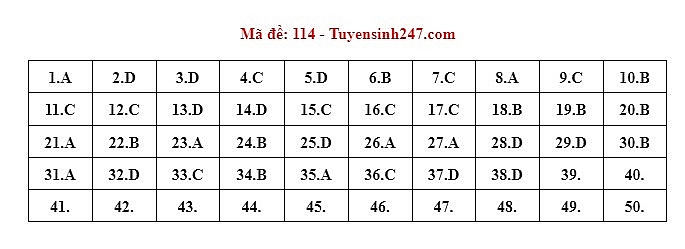 Gợi ý đáp án đề thi môn Toán Tốt nghiệp THPT 2022