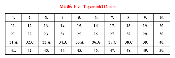 Gợi ý đáp án đề thi môn Toán Tốt nghiệp THPT 2022