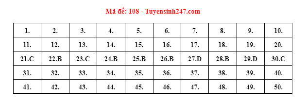 Gợi ý đáp án đề thi môn Toán Tốt nghiệp THPT 2022