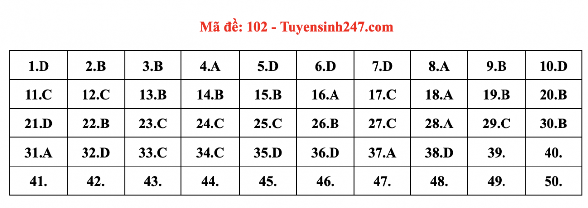 Gợi ý đáp án đề thi môn Toán Tốt nghiệp THPT 2022
