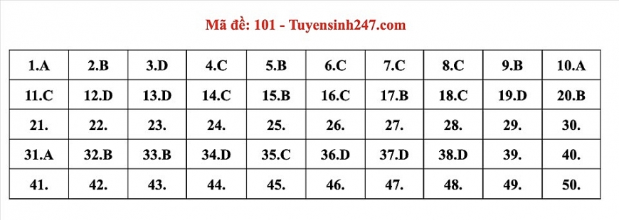 Gợi ý đáp án đề thi môn Toán Tốt nghiệp THPT 2022