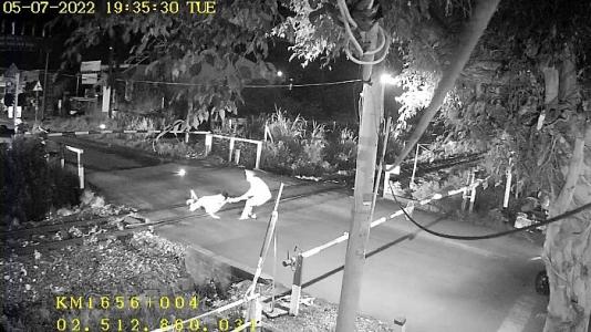 Bộ trưởng Bộ GTVT gửi thư khen nhân viên gác chắn dũng cảm cứu người