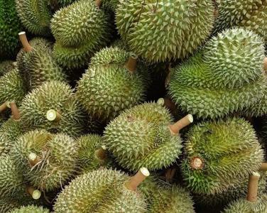 Hướng dẫn xuất khẩu rau quả chính ngạch sang thị trường Trung Quốc