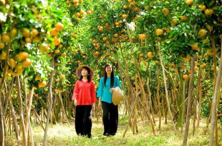 Du lịch nông nghiệp: 'Mỏ vàng' của du lịch Bến Tre