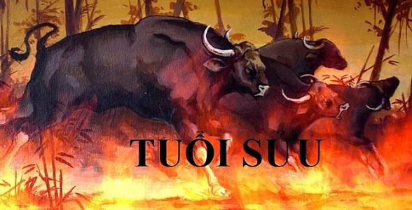 Tử vi 12 con giáp ngày 9/8/2022: Mọi chuyện xảy ra đều được tuổi Sửu giải quyết tốt