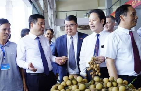 Để nhãn lồng Hưng Yên 'được mùa, được giá'