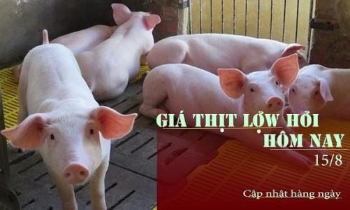 Giá thịt lợn hôm nay miền Nam