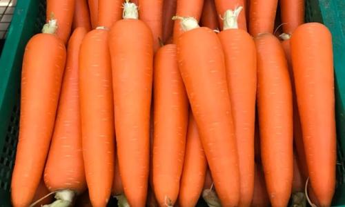 Siêu thị Co.opmart Hải Phòng giữ uy tín bằng hàng hóa chất lượng