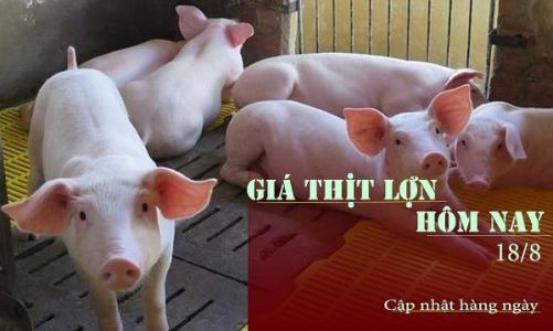 Giá thịt lợn hôm nay 18/8: Giao dịch ở mức 58.000 - 71.000đ/kg.