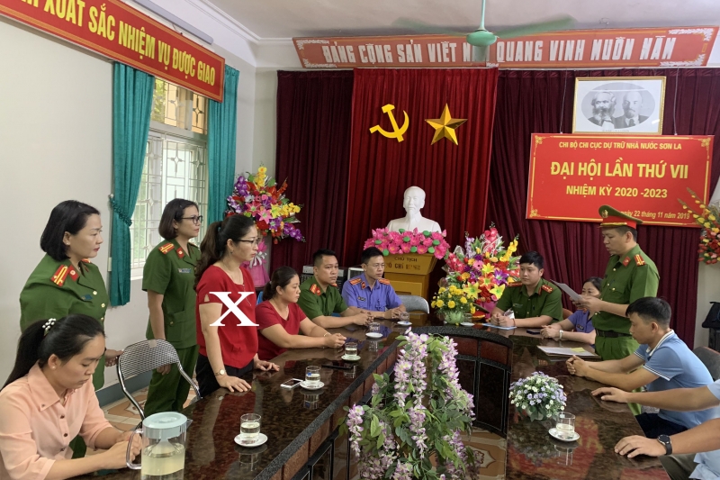 Đối tượng Trần Việt Anh (dấu X)