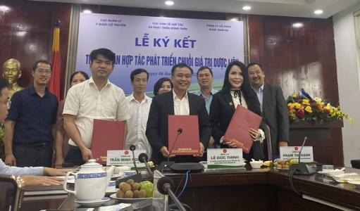 Phát triển vùng trồng dược liệu tại các tỉnh phía bắc và Tây Nguyên