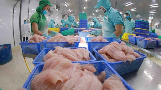 Việt Nam xuất siêu sang UAE 3 tỷ USD