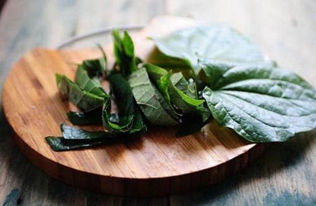 Lá lốt chữa đau xương, thấp khớp