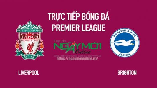 Xem trực tiếp Liverpool vs Brighton, 21h00 ngày 1/10, vòng 9 Ngoại hạng Anh trên kênh nào?