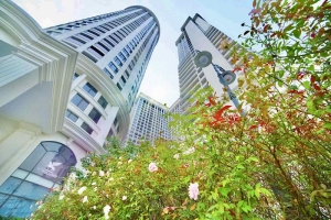 Không gian 'nhà Sunshine' bừng sức sống giữa ánh nắng rực rỡ