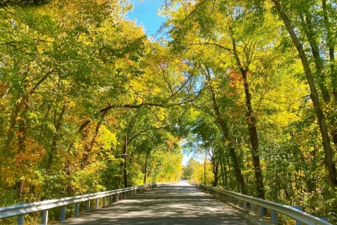 Những vòng xe vô định giữa mùa thu