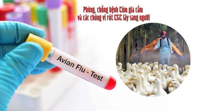 Ảnh: CDC Phú Thọ
