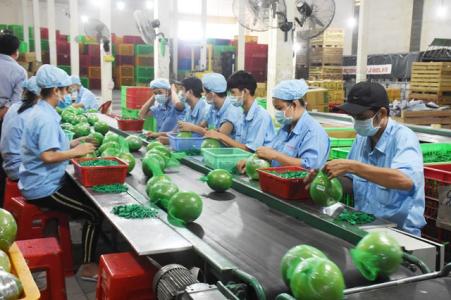 Bến Tre đẩy mạnh phát triển kinh tế tập thể, hợp tác xã