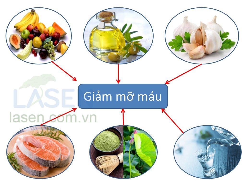 Gần 50% người trưởng thành sống ở thành thị bị mỡ máu cao