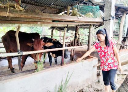 Bến Tre ban hành kế hoạch về phát triển đa dạng sinh kế, thoát nghèo bền vững