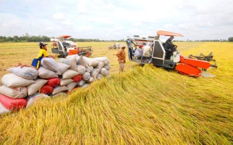 Giữ thị trường xuất khẩu bằng chất lượng nông sản ổn định