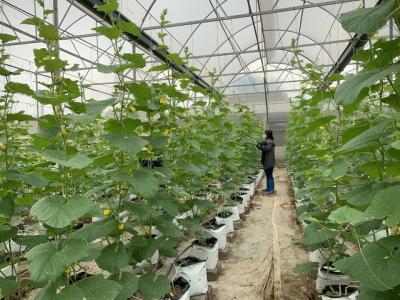 Bắc Giang: Đưa nhanh khoa học công nghệ vào sản xuất, phát triển nông nghiệp, nông thôn