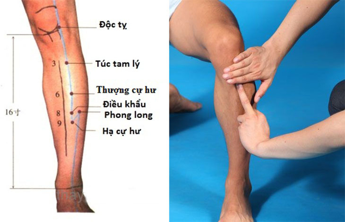 Huyệt túc tam lý có tác dụng điều hòa khí huyết giúp nâng cao tuổi thọ