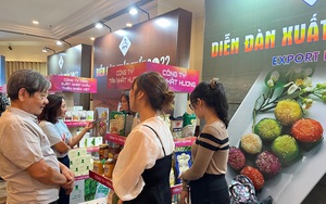 TPHCM “điểm sáng” trong lĩnh vực xuất  khẩu