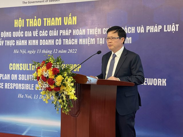 Tham vấn Chương trình hành động quốc gia về thực hành kinh doanh có trách nhiệm - Ảnh 1. Tham vấn Chương trình hành động quốc gia về thực hành kinh doanh có trách nhiệm - Ảnh 1.