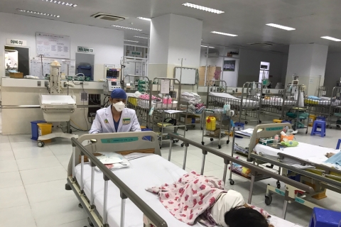 Tương lai: Không cần cấy ghép tạng nhờ liệu pháp tế bào gốc?