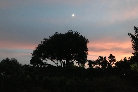 Đi một vòng để biết yêu vẻ đẹp giản đơn